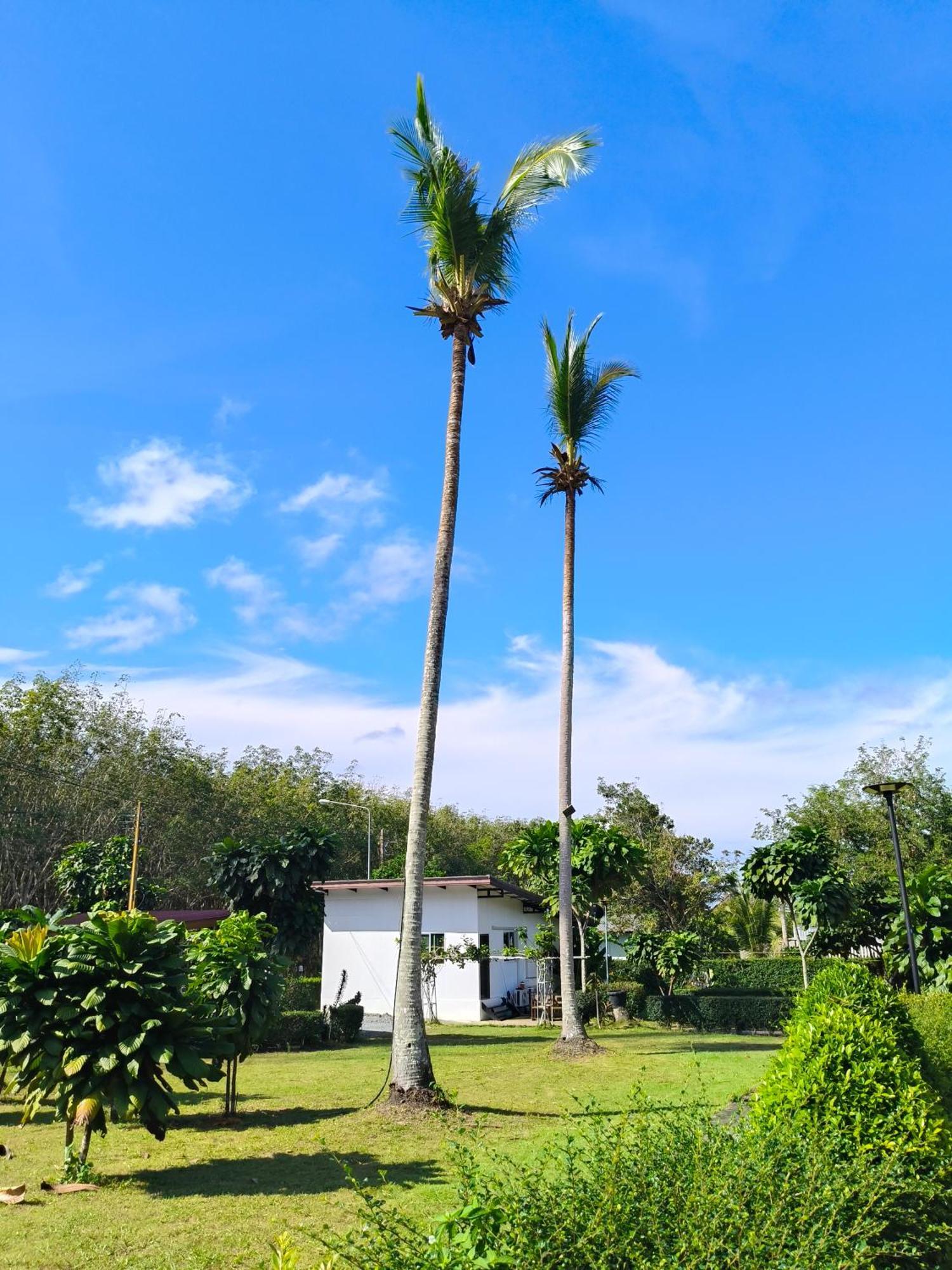 The Lodge At Koh Kood Ko Kut Екстериор снимка