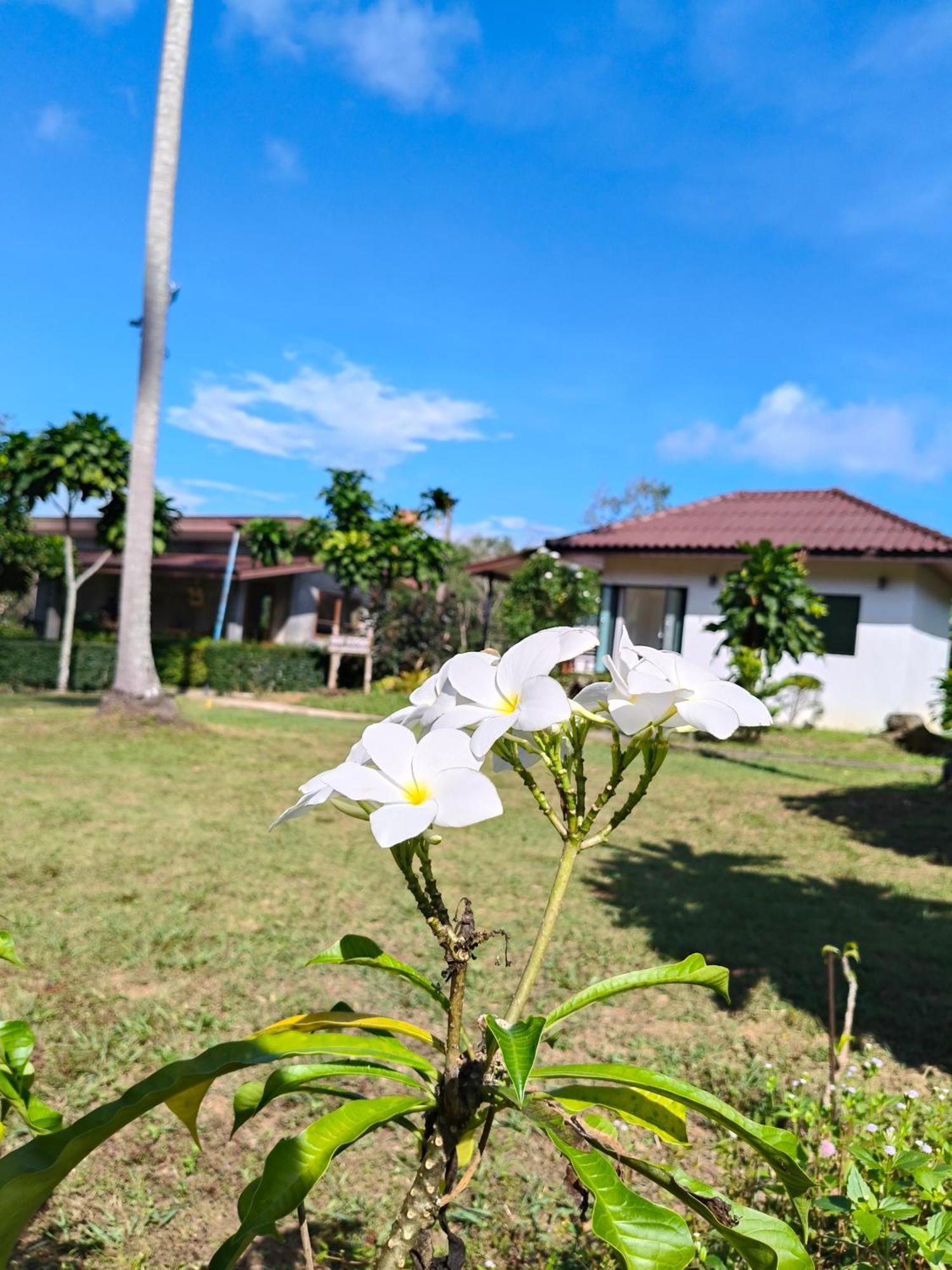 The Lodge At Koh Kood Ko Kut Екстериор снимка